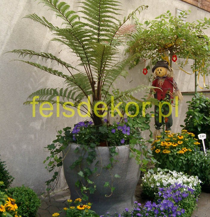 picture/DON03_donica_felsdekor_4.jpg