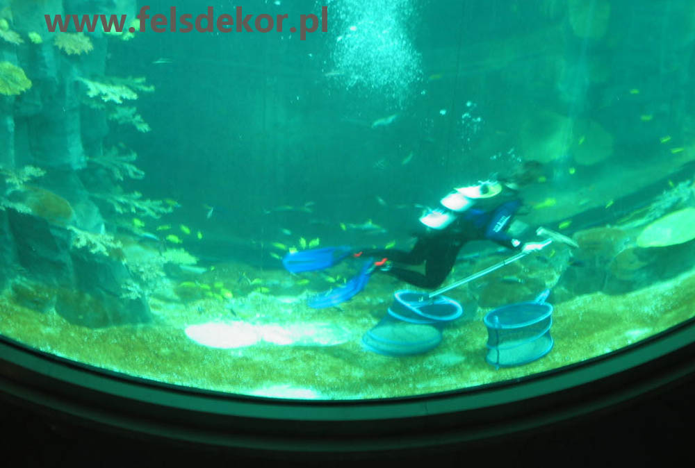 picture/akwarium_cylindryczne_aquaDom_Berlin_felsdekor_5.jpg