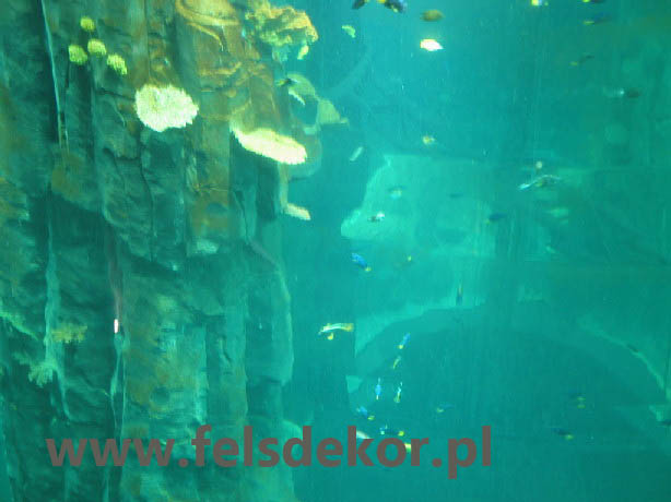 picture/akwarium_cylindryczne_aquaDom_Berlin_felsdekor_7.jpg