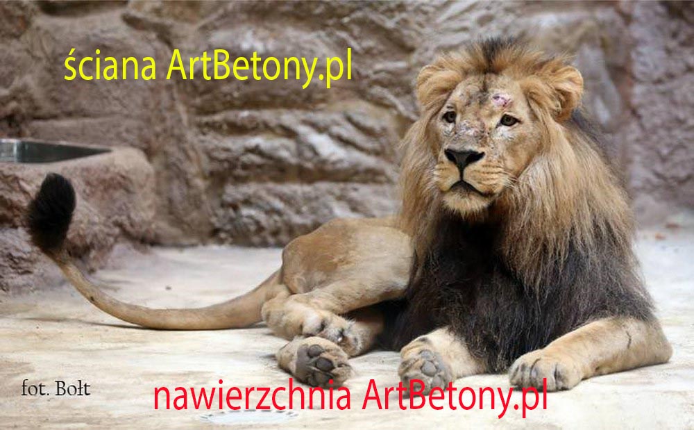 picture/felsdekor_2_dekorbet_copsa_kunstfelsen_decoflex_gdansk_zoo_lwy_01.jpg
