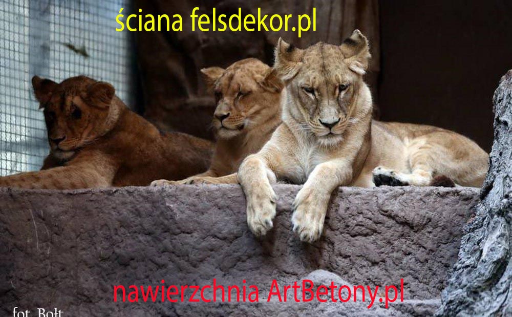 picture/felsdekor_2_dekorbet_copsa_kunstfelsen_decoflex_gdansk_zoo_lwy_02.jpg