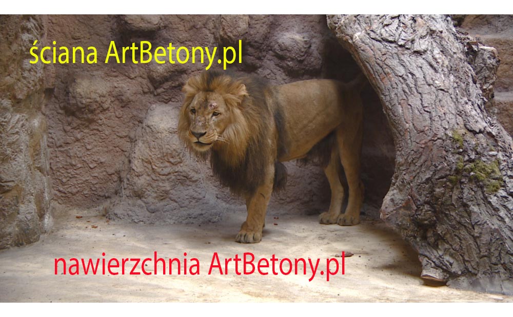 picture/felsdekor_2_dekorbet_copsa_kunstfelsen_decoflex_gdansk_zoo_lwy_09.jpg