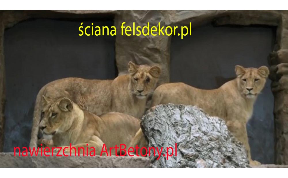 picture/felsdekor_2_dekorbet_copsa_kunstfelsen_decoflex_gdansk_zoo_lwy_10.jpg