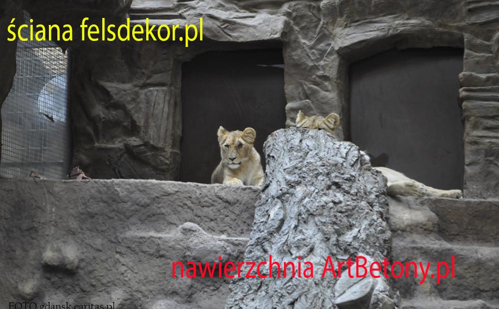 picture/felsdekor_2_dekorbet_copsa_kunstfelsen_decoflex_gdansk_zoo_lwy_12.jpg