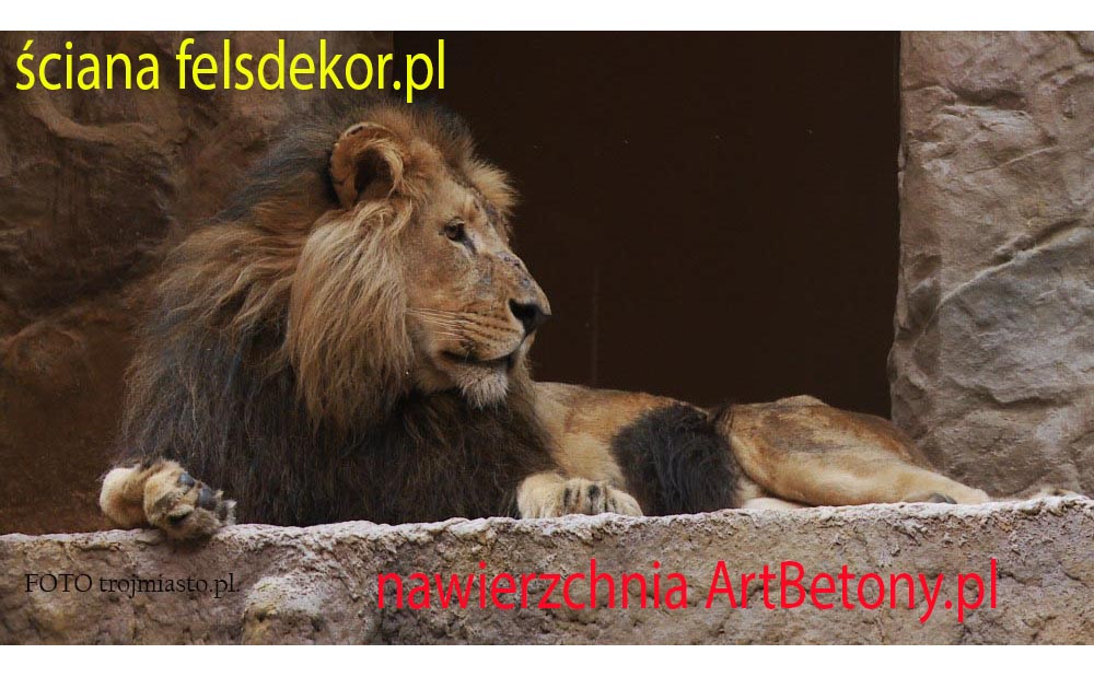 picture/felsdekor_2_dekorbet_copsa_kunstfelsen_decoflex_gdansk_zoo_lwy_14.jpg