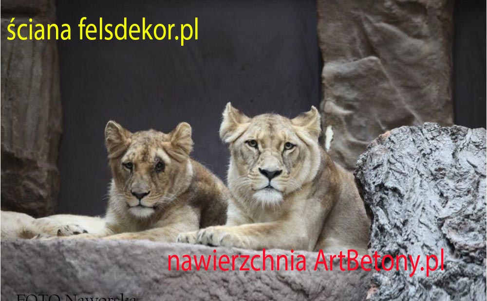 picture/felsdekor_2_dekorbet_copsa_kunstfelsen_decoflex_gdansk_zoo_lwy_15.jpg