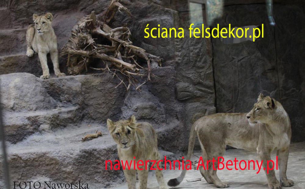 picture/felsdekor_2_dekorbet_copsa_kunstfelsen_decoflex_gdansk_zoo_lwy_16.jpg