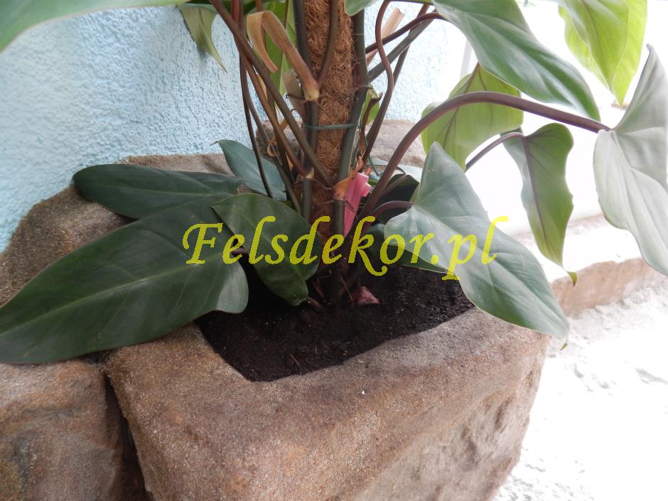 picture/felsdekor_dekorbet_copsa_decoflex_bydgoszcz_zoo_krokodyl_33.jpg