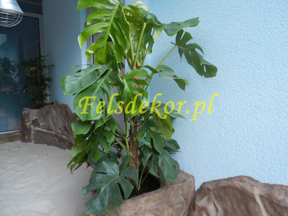 picture/felsdekor_dekorbet_copsa_decoflex_bydgoszcz_zoo_krokodyl_35.jpg