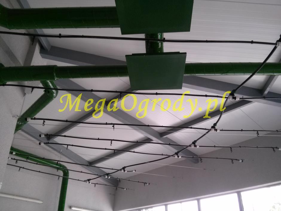 picture/felsdekor_dekorbet_copsa_decoflex_bydgoszcz_zoo_motylarnia_10.jpg