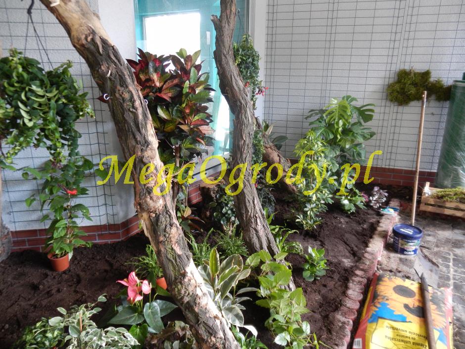 picture/felsdekor_dekorbet_copsa_decoflex_bydgoszcz_zoo_motylarnia_13.jpg