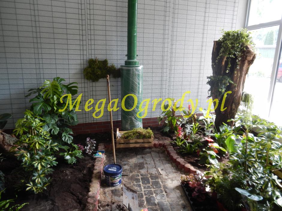 picture/felsdekor_dekorbet_copsa_decoflex_bydgoszcz_zoo_motylarnia_14.jpg