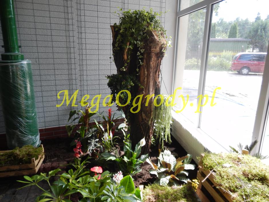 picture/felsdekor_dekorbet_copsa_decoflex_bydgoszcz_zoo_motylarnia_15.jpg