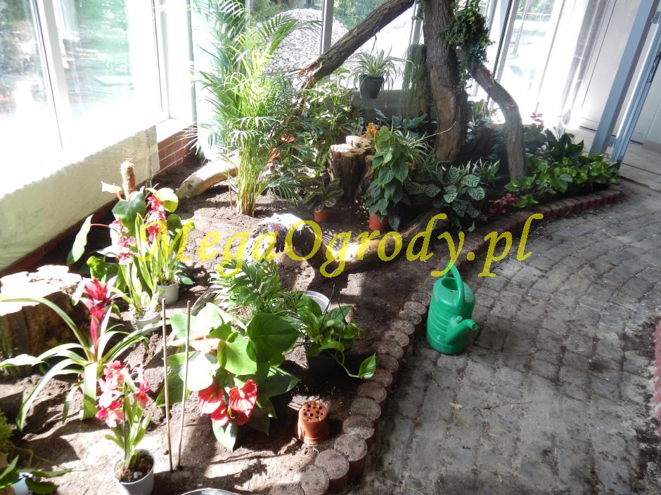 picture/felsdekor_dekorbet_copsa_decoflex_bydgoszcz_zoo_motylarnia_16.jpg