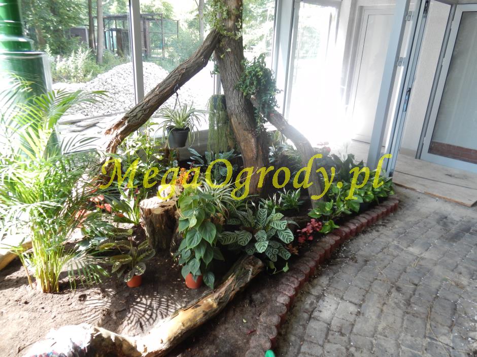 picture/felsdekor_dekorbet_copsa_decoflex_bydgoszcz_zoo_motylarnia_17.jpg