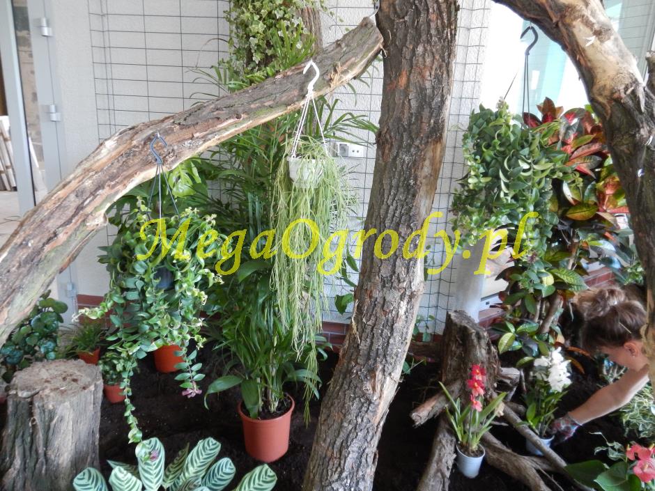 picture/felsdekor_dekorbet_copsa_decoflex_bydgoszcz_zoo_motylarnia_20.jpg