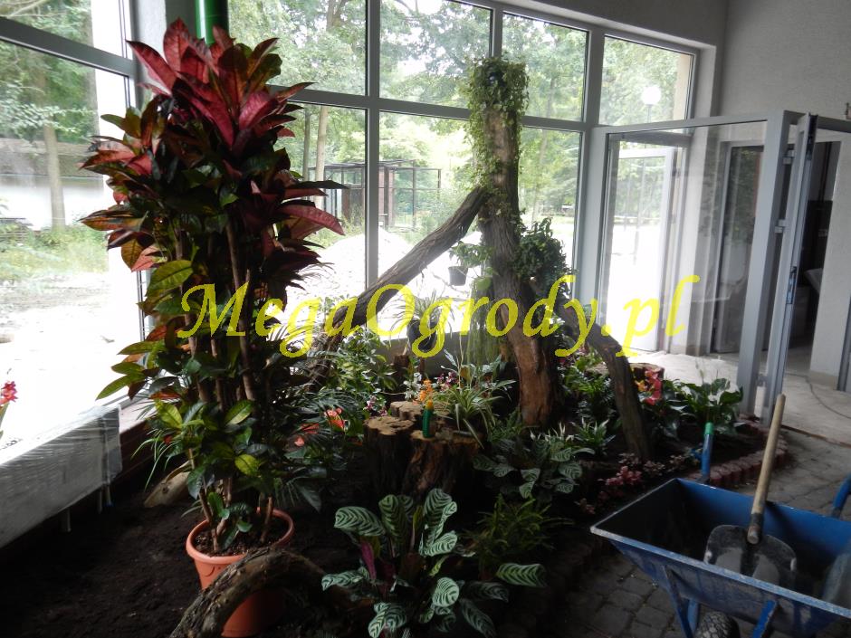 picture/felsdekor_dekorbet_copsa_decoflex_bydgoszcz_zoo_motylarnia_23.jpg