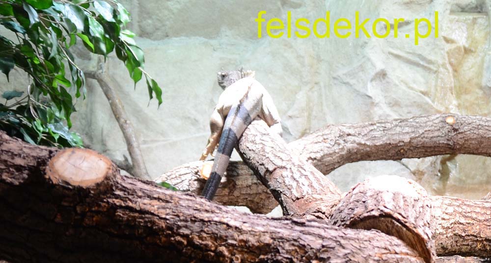 picture/felsdekor_dekoret_sika_copsa_kunstfelsen_terrarium_reptilien_kriechtiere_34.jpg