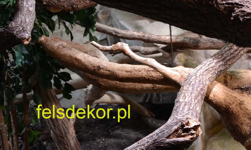 picture/felsdekor_dekoret_sika_copsa_kunstfelsen_terrarium_reptilien_kriechtiere_35.jpg