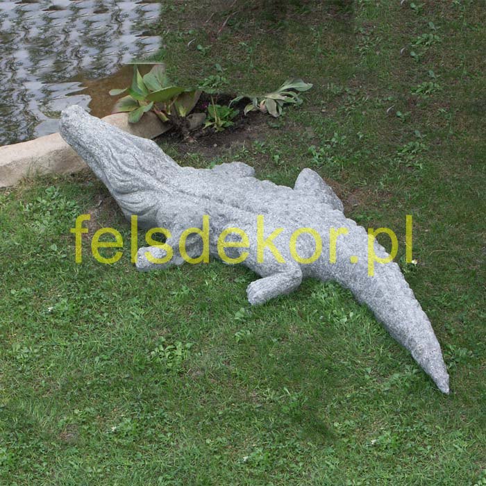 picture/kroko-01.jpg