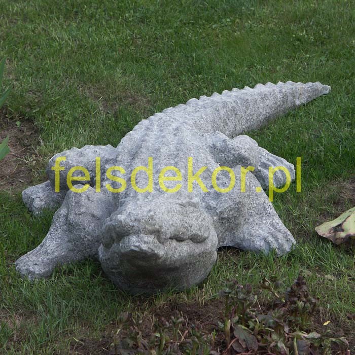 picture/kroko-02.jpg