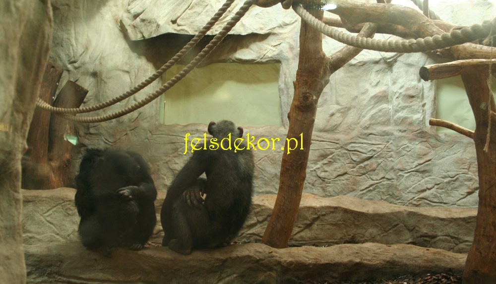 picture/zoo_warszawa_szympansy_sztuczne_skaly_felsdekor_po_15.jpg