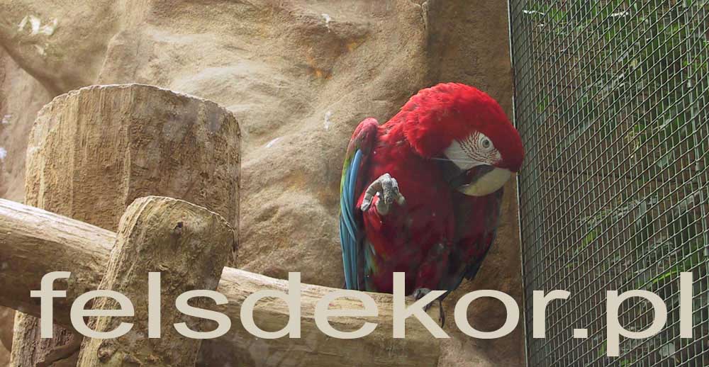picture/zoo_wroclaw_ptaszarnia_prawa_felsdekor_0.jpg
