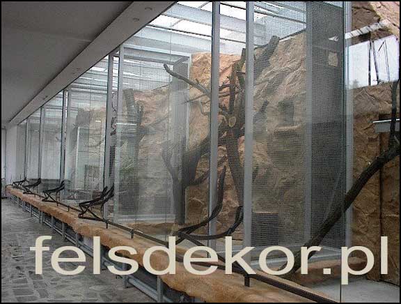picture/zoo_wroclaw_ptaszarnia_prawa_felsdekor_1.jpg