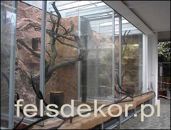 picture/zoo_wroclaw_ptaszarnia_prawa_felsdekor_10.jpg