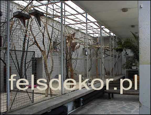picture/zoo_wroclaw_ptaszarnia_prawa_felsdekor_12.jpg
