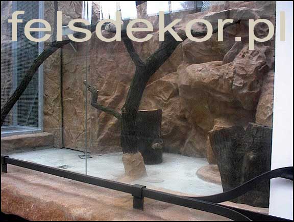 picture/zoo_wroclaw_ptaszarnia_prawa_felsdekor_2.jpg