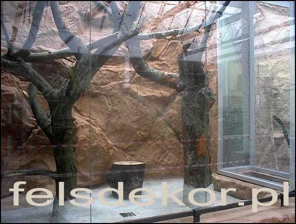 picture/zoo_wroclaw_ptaszarnia_prawa_felsdekor_3.jpg