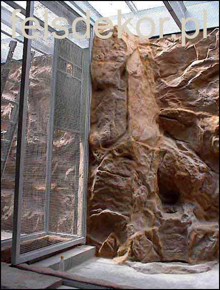 picture/zoo_wroclaw_ptaszarnia_prawa_felsdekor_6.jpg
